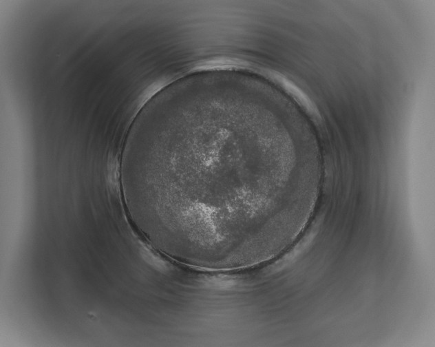 X0000113101329200909041218