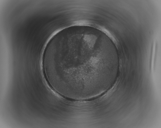 X0000113101331200909041218
