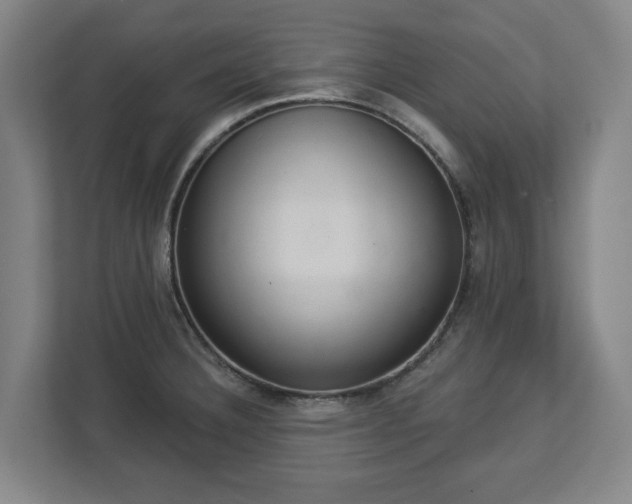 X0000113101332200909041218