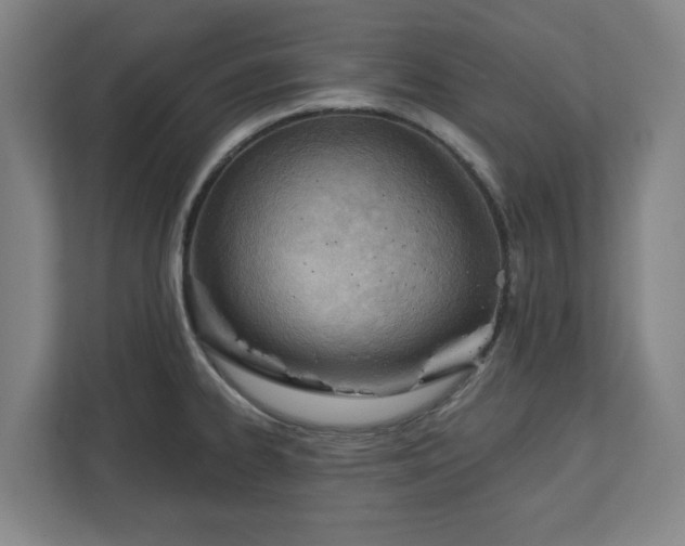 X0000113101334200909041218