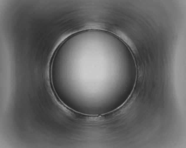 X0000113101339200909041218