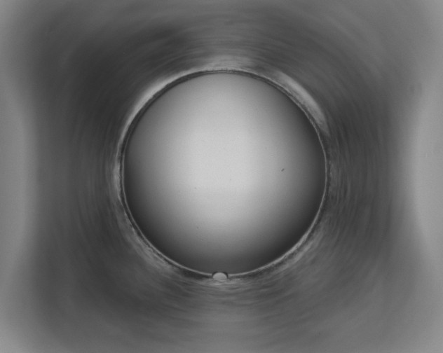 X0000113101340200909041218