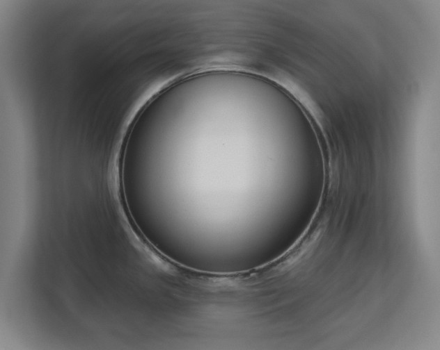 X0000113101341200909041218