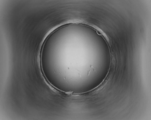 X0000113101343200909041218