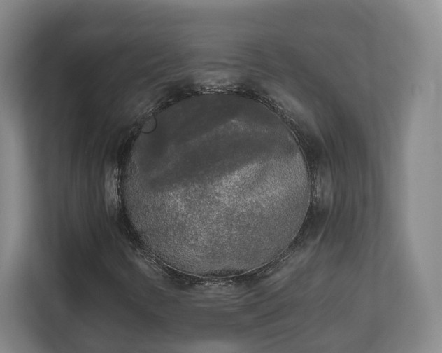 X0000113101346200909041218