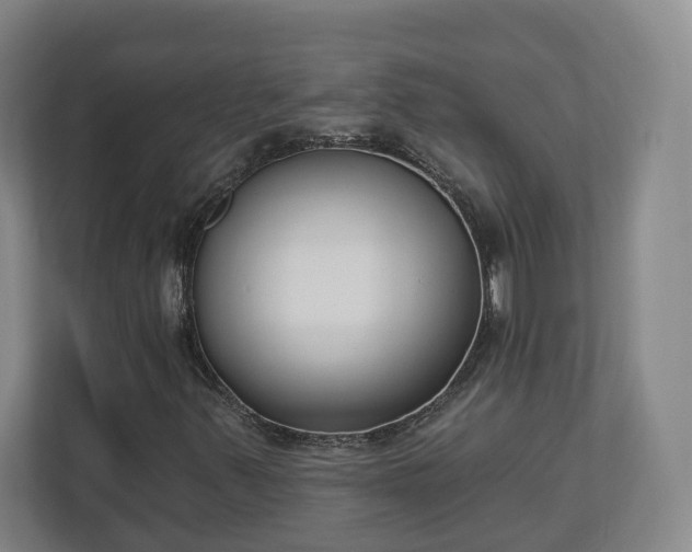 X0000113101347200909041218