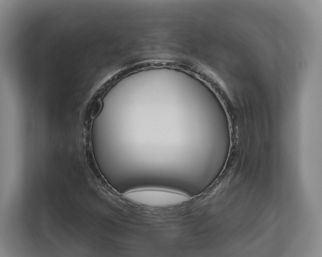 X0000113101352200909041218