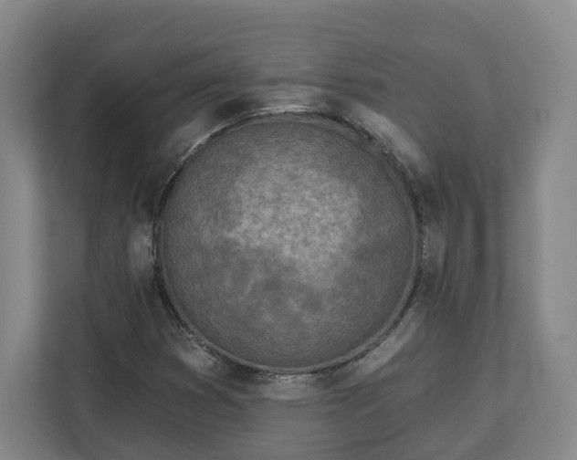 X0000113101353200909041218