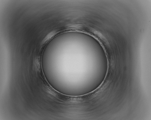 X0000113101354200909041218