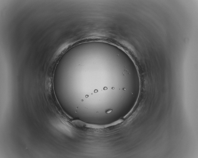 X0000113101355200909041218