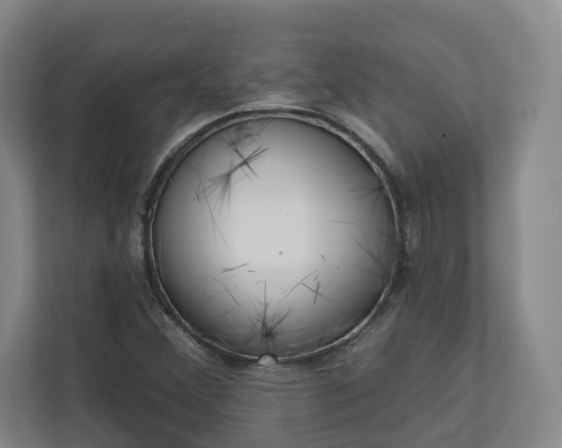 X0000113101356200909041218