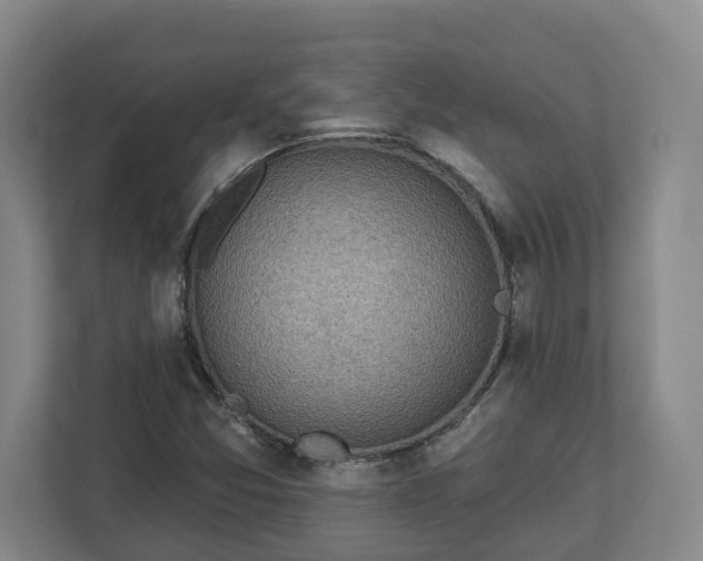 X0000113101357200909041218