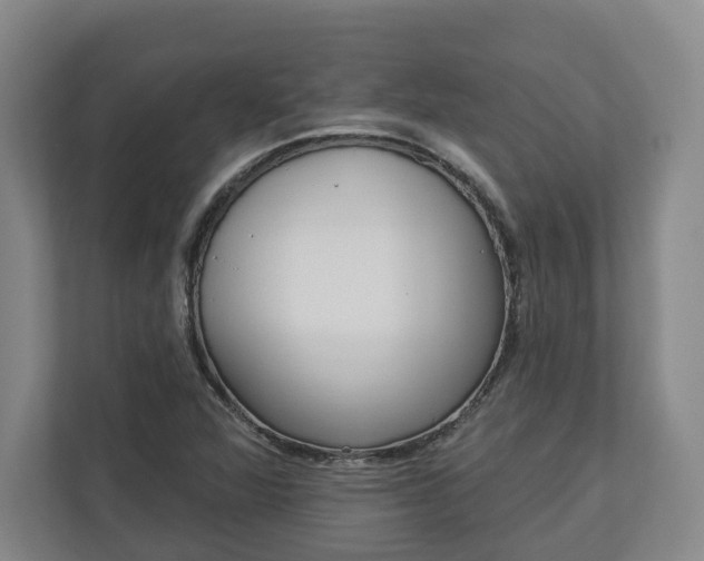 X0000113101360200909041218