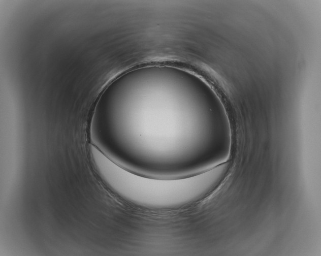X0000113101361200909041218