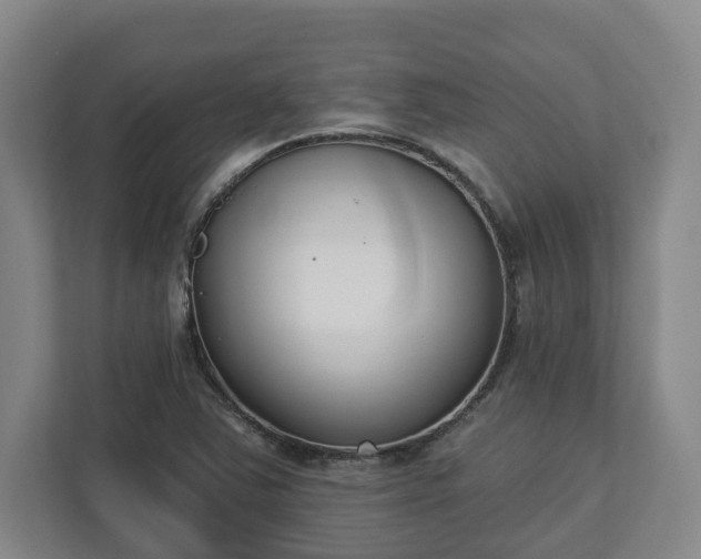 X0000113101363200909041218