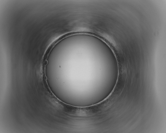 X0000113101364200909041218