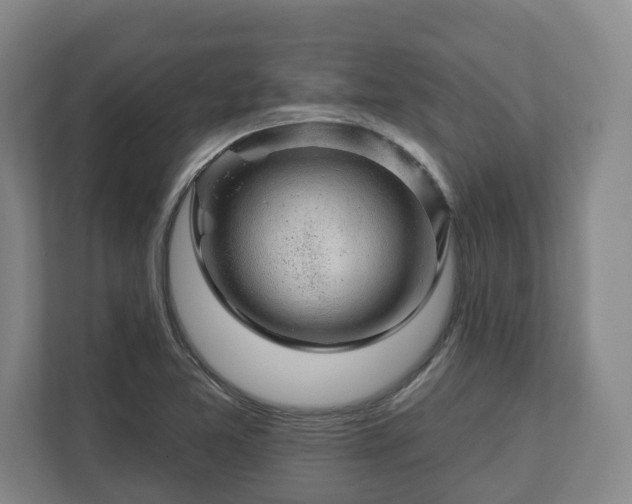 X0000113101365200909041217