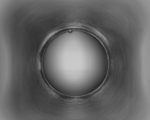 X0000113101368200909041217