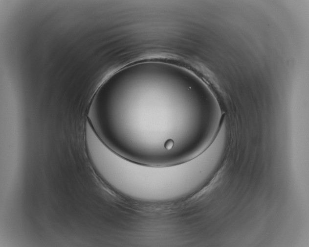 X0000113101369200909041217