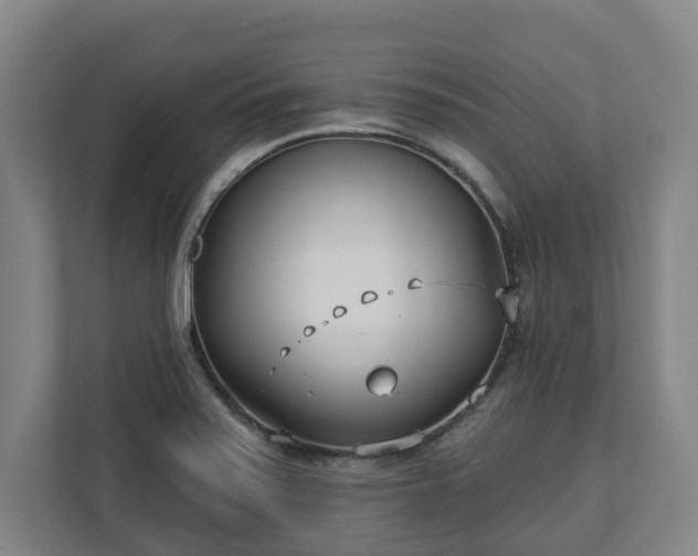 X0000113101371200909041217