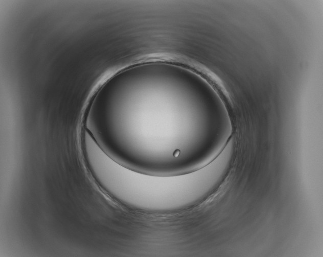 X0000113101373200909041217