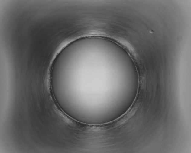 X0000113101374200909041217