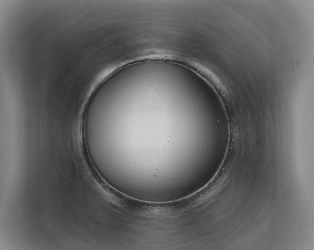 X0000113101375200909041217