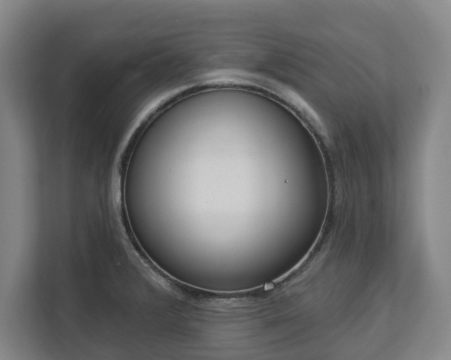 X0000113101376200909041217