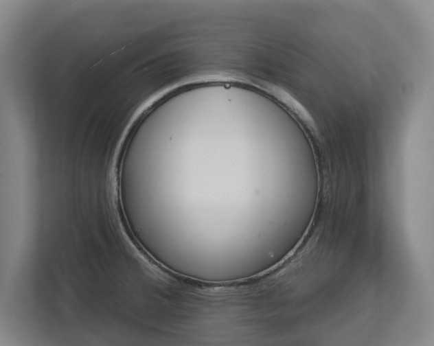 X0000113101380200909041217
