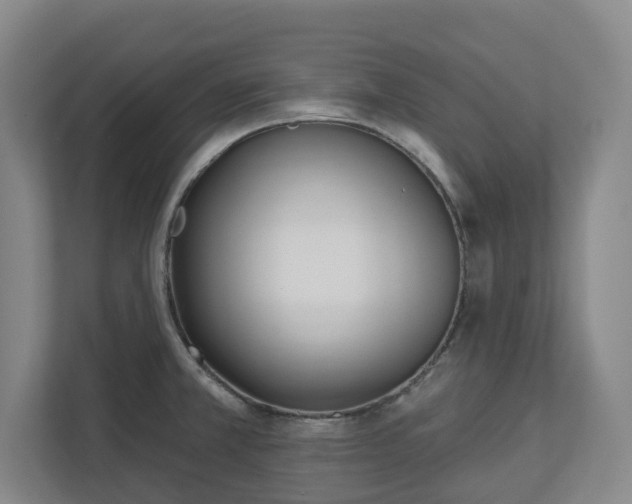 X0000113101381200909041217