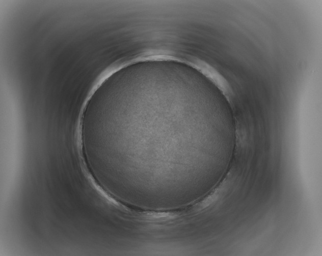 X0000113101382200909041217