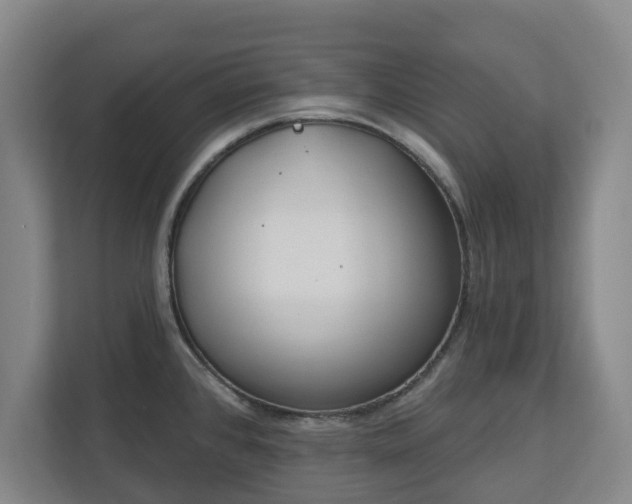 X0000113101384200909041217