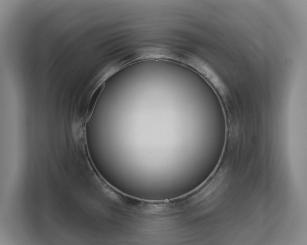 X0000113101385200909041217