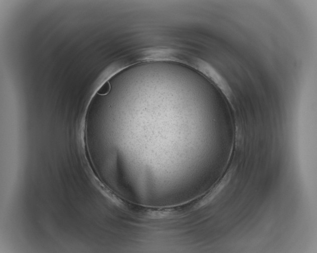 X0000113101386200909041217