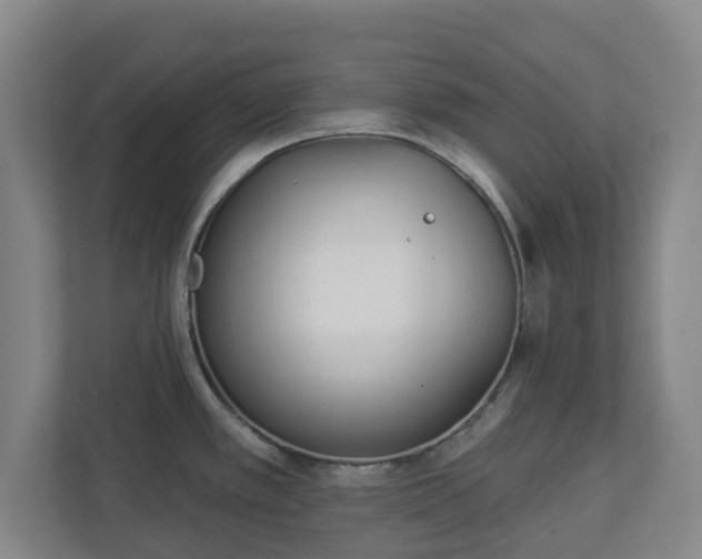 X0000113101389200909041217