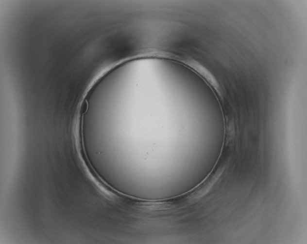 X0000113101391200909041217