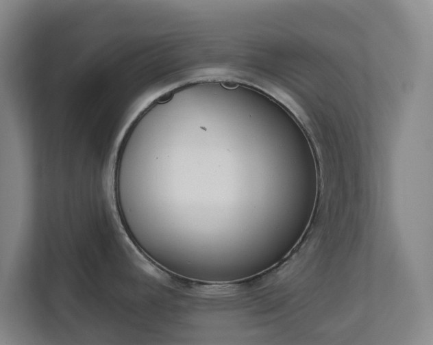X0000113101392200909041217