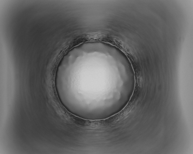 X0000113101393200909041217
