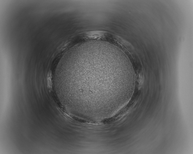X0000113101394200909041217