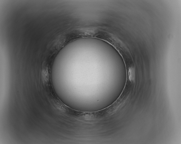 X0000113101395200909041217