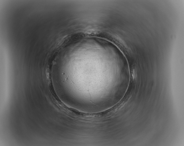 X0000113101396200909041217