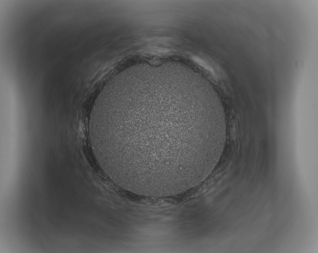 X0000113101397200909041217
