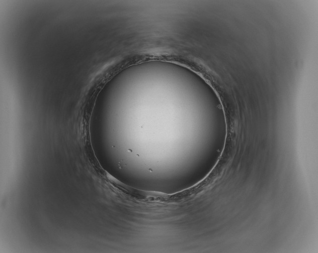 X0000113101398200909041217