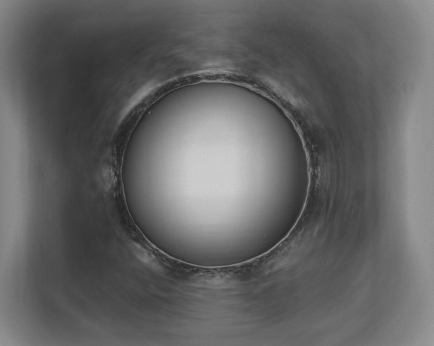 X0000113101400200909041217