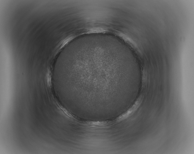 X0000113101401200909041217