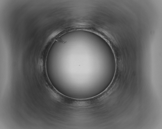X0000113101402200909041217