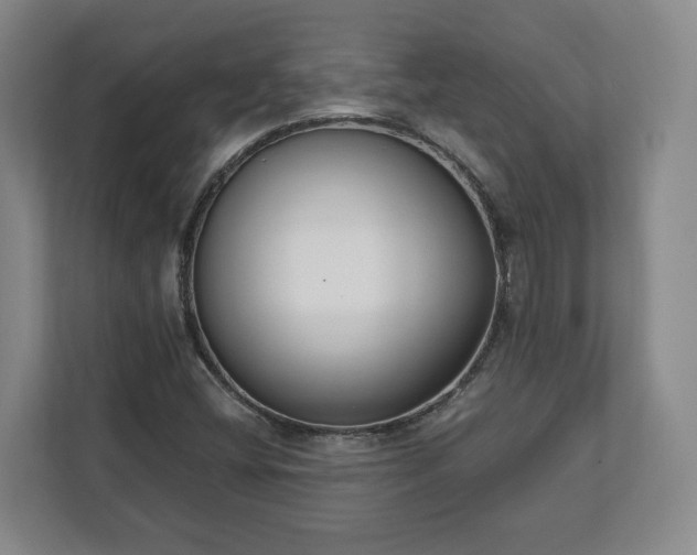 X0000113101404200909041217