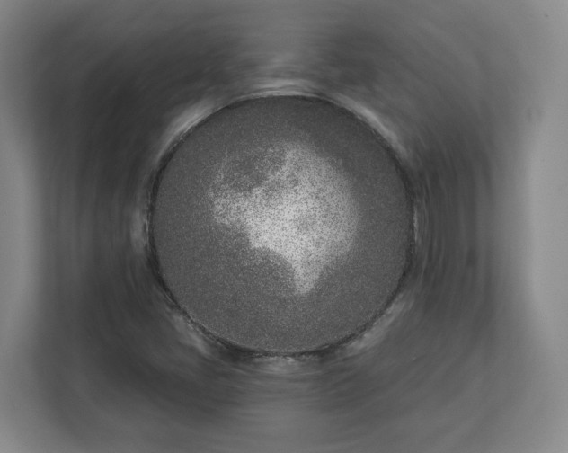 X0000113101405200909041217