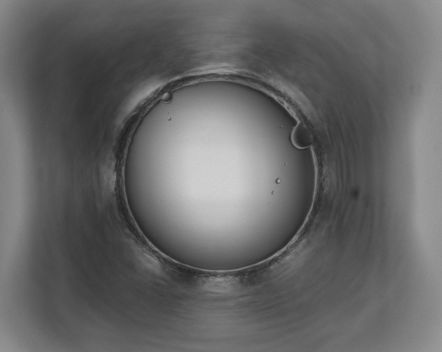 X0000113101406200909041217