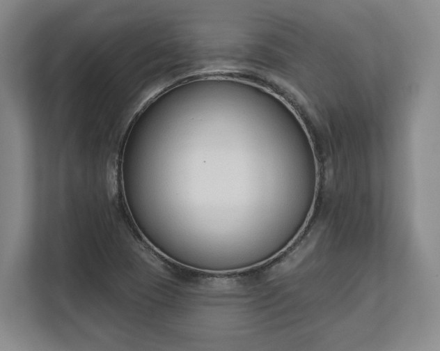 X0000113101409200909041217